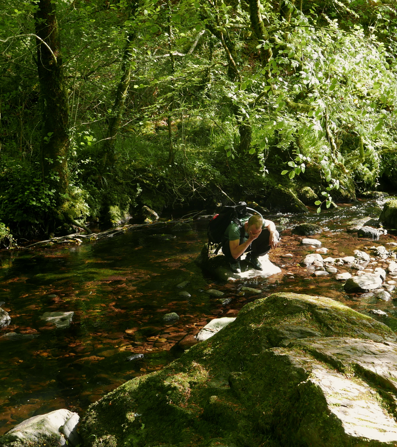 A person is washing their face crouching on a stone in the middle of a calm creek running through a lush forest.