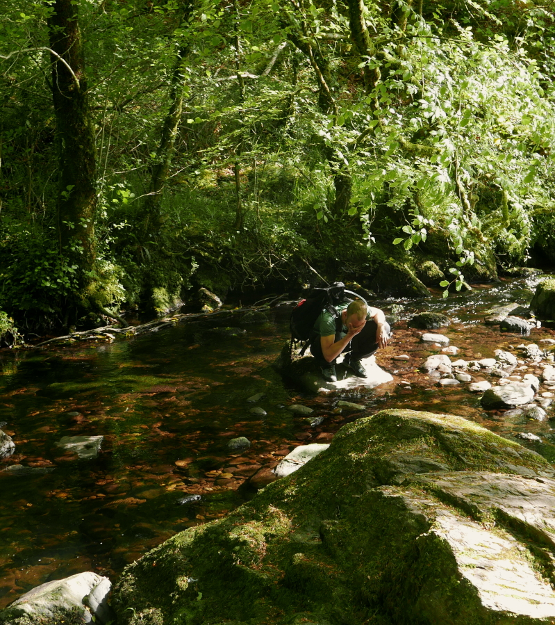 A person is washing their face crouching on a stone in the middle of a calm creek running through a lush forest.