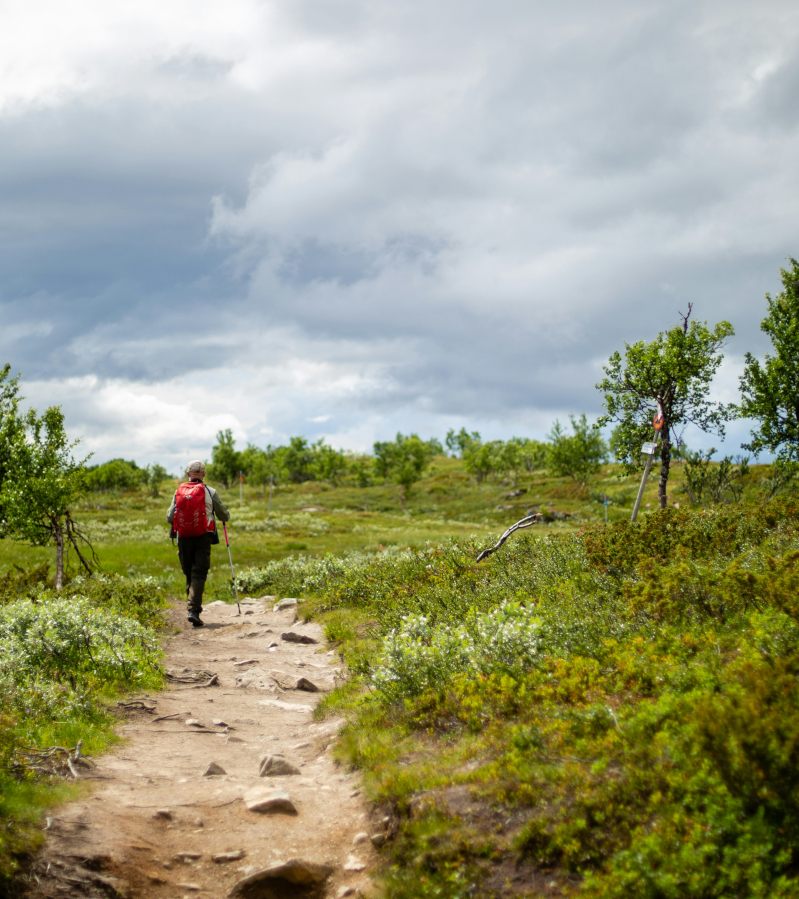 A person with a red backpack hiking walking along a path on a heath. Dramatic clouds in the background. Photo by Xulio Gonzalez