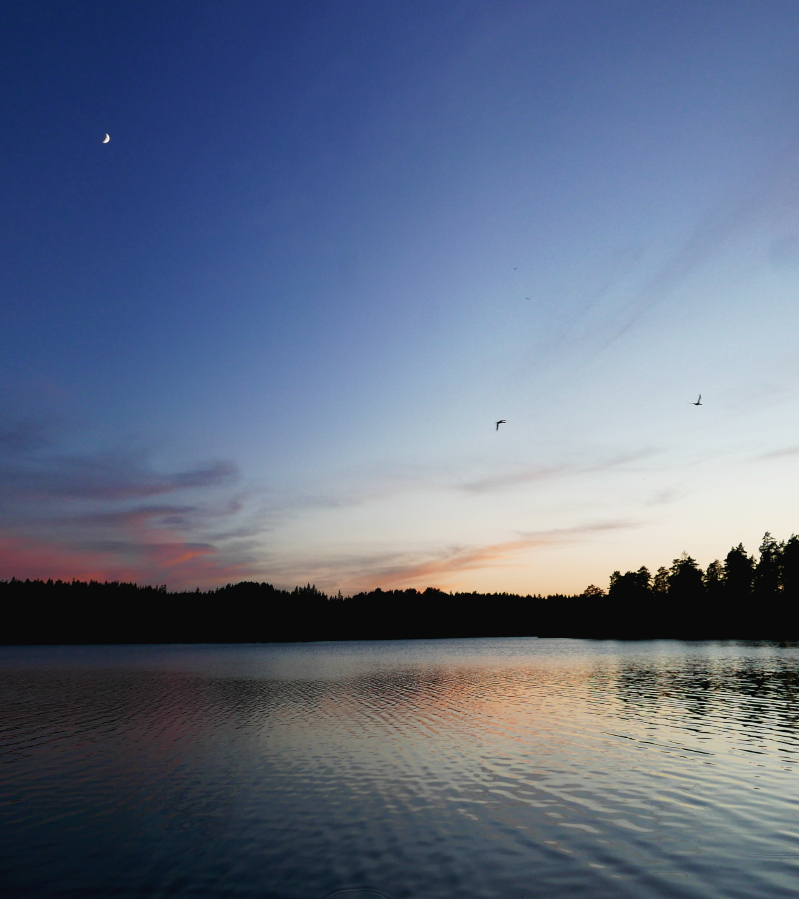 Dusk over a lake with dark trees separating the water from the sky. A new moon rests high in the sky and two birds fly off towards the right.