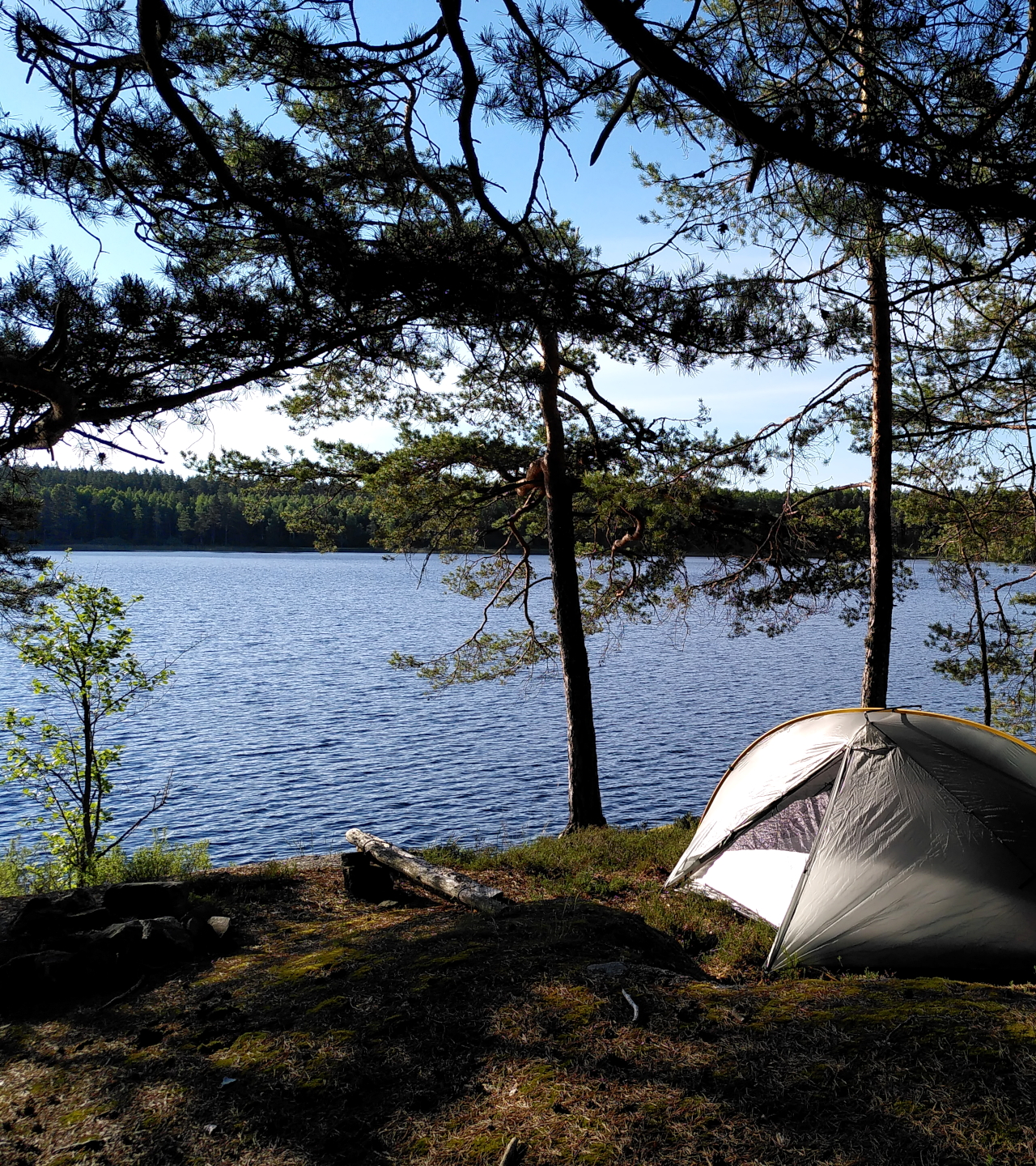 The sun shines from the left on a grey-green dome tent pitched under pine trees on a lake shore.