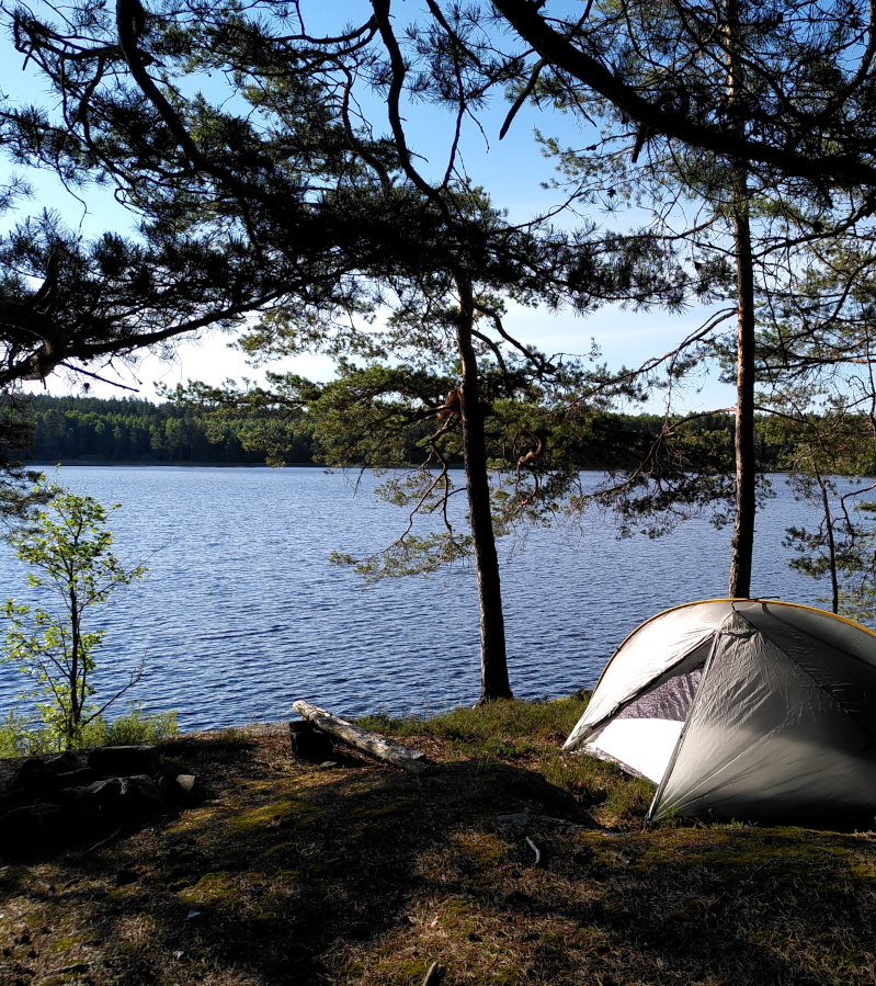 The sun shines from the left on a grey-green dome tent pitched under pine trees on a lake shore.