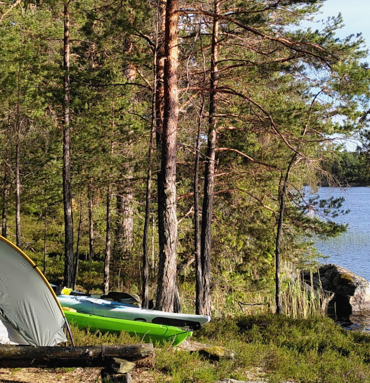 A tent stands on the edge of the woods, next to calm water. Two kayaks lie slightly hidden behind the tent. It is a sunny day.