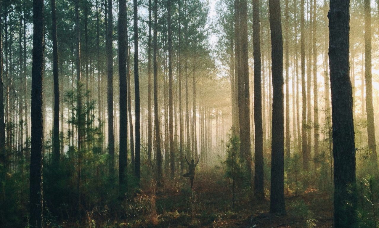 The silhouette of a person in tree pose can be seen in a forest. The light is dim, somewhat mysterious. Image created from originals by Paul Newton and Steven Kamenar.