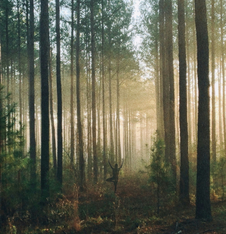 The silhouette of a person in tree pose can be seen in a forest. The light is dim, somewhat mysterious. Image created from originals by Paul Newton and Steven Kamenar.