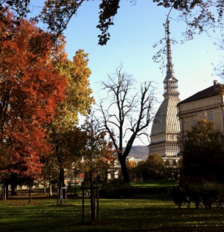 The Mole Antonelliana seen through the foilage of the Turin Royal Gardens. It is autumn and some trees are red and yellow while others already bare.