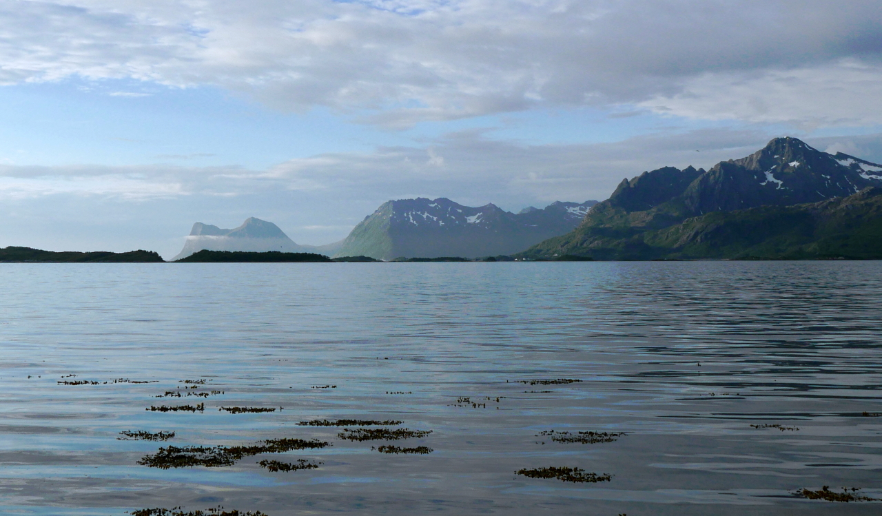 An image of a fjord. Mostly calm water in the foreground, mountains in the middle, followed by a partially cloudy sky.