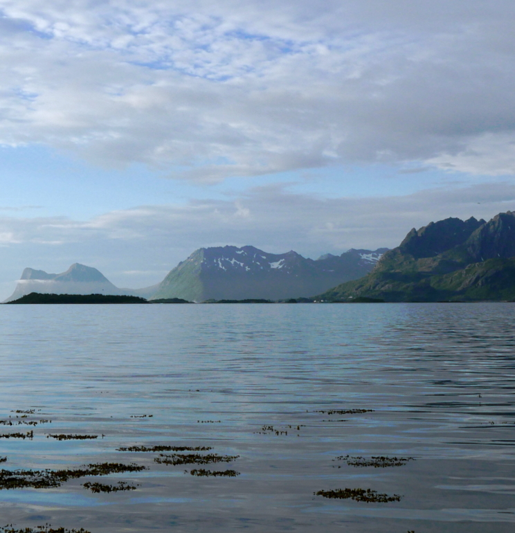 An image of a fjord. Mostly calm water in the foreground, mountains in the middle, followed by a partially cloudy sky.