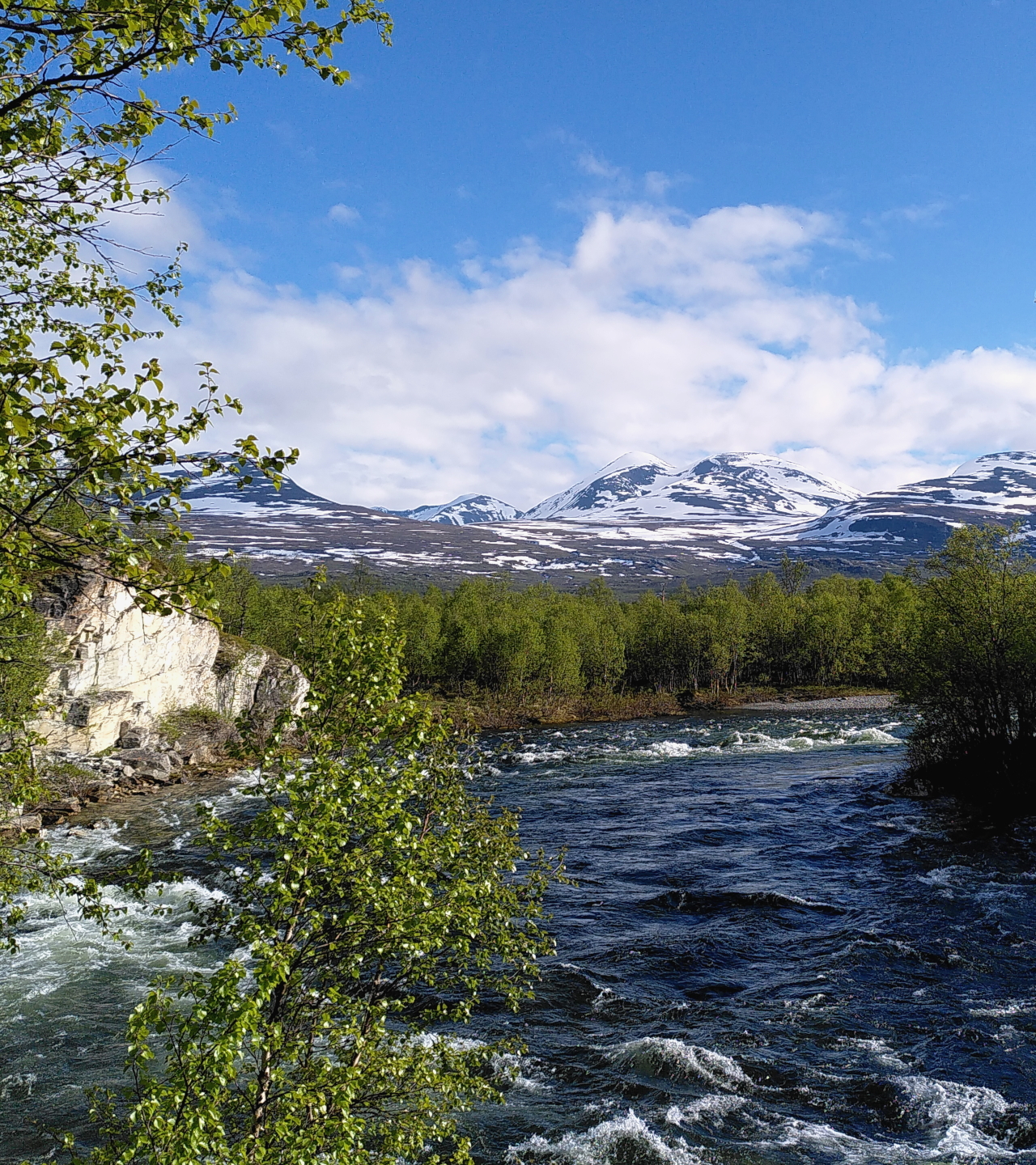 A torrent rushes towards the camera, lined by sharp rocks and trees. In the distance, mountains and a somewhat cloudy sky can be seen.
