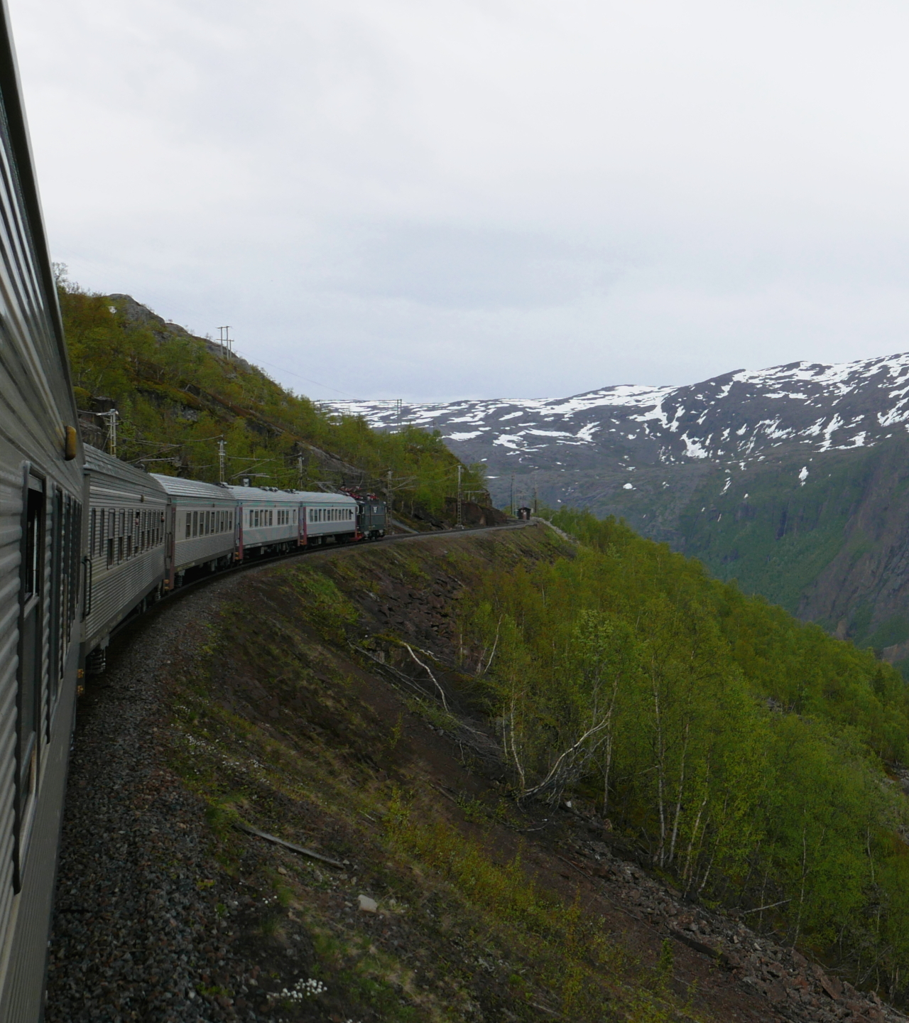 A train runs on a single track railway along a fairly steep slope. The slope is covered with trees and in the distance there is a mountain with patches of snow.