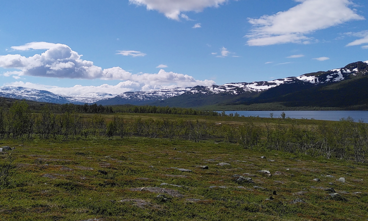 An Arctic landscape in summer with some sparse trees, a lake, mountains in the distance and a blue sky with some clouds.
