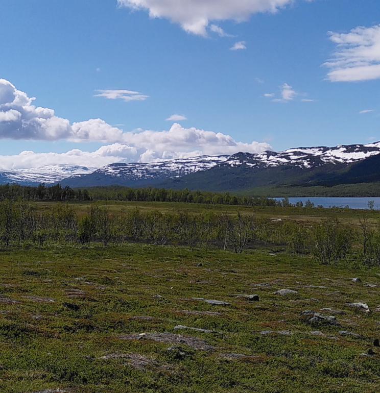 An Arctic landscape in summer with some sparse trees, a lake, mountains in the distance and a blue sky with some clouds.