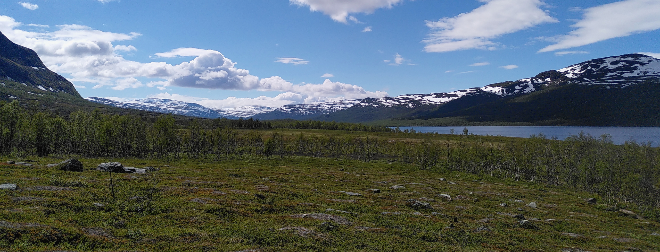 An Arctic landscape in summer with some sparse trees, a lake, mountains in the distance and a blue sky with some clouds.